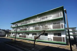 テレパレス柏てるて 北街区 2号棟の画像