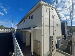LEVEL TREEの画像