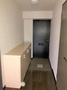 日神パレステージ宮崎【4階】の玄関