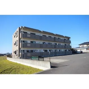 ユーミーマンション加茂川【1階】の外観