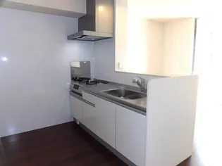 グランド シャイン B棟【2階】のキッチン