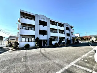 ヴェルドミールNの画像