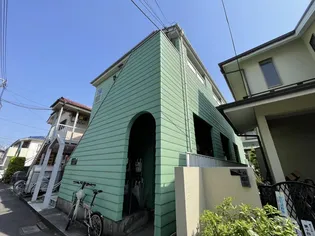 アルファコスモスの画像