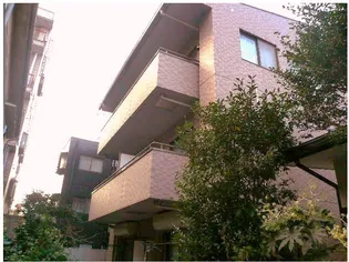 神奈川県川崎市中原区小杉町1【マンション】の外観