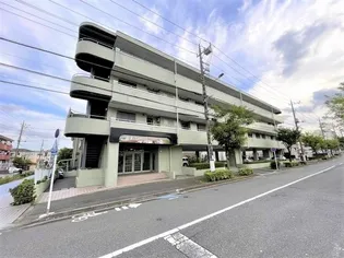 SCライムライトの画像