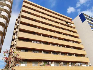 ダイアパレス根岸の画像