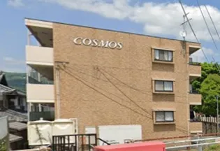 コスモスの画像