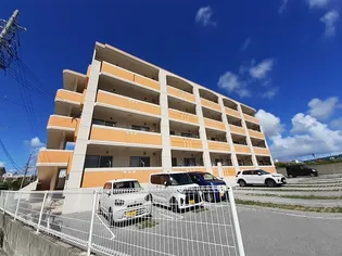 ピュア フォレストの画像