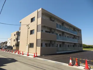 アンジューVIIの画像