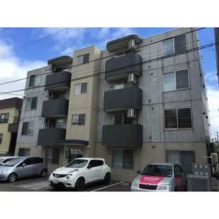 エバーグリーンの画像