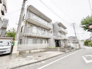 アマドムスの画像