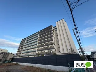 スプランディッドⅦの画像
