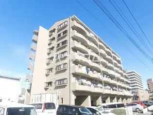 アクロプレステージ1の画像