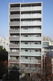 トゥルーハーモニーの画像