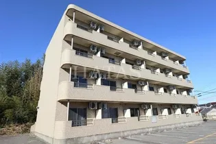 M I CRUISEの画像
