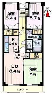 ビューリヴェール 2匹可 P有【2階】の間取り