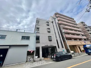 シャロウノ-スコ-ト【2階】の外観