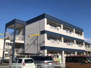 ハイツシュン【1階】の外観