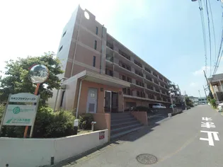 カネコプラザファーストの画像