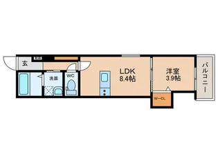 グレースメゾン泉佐野II【3階】の間取り