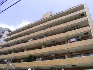 ライオンズマンション板橋【4階】の外観