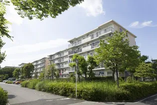 UR三郷早稲田パークハイツの画像