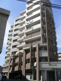 エレガンスコトブキの画像