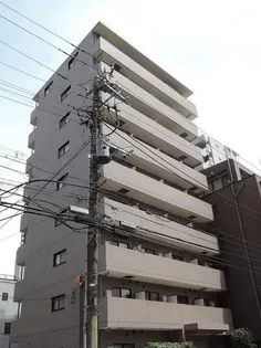 ムーンリットコートの画像