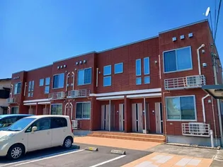 パーシモン Cの画像