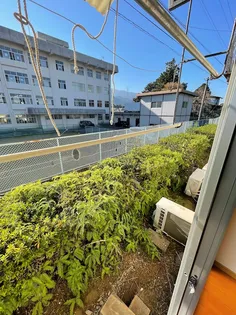 山内アパート【1階】の内装