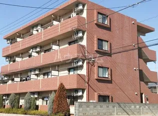 ペティートの画像