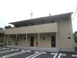 ピーノ タチバナの画像