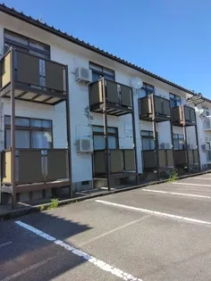 マキシマ15の画像