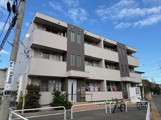 ピアチェーレの画像