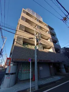 アゼリアシミズの画像