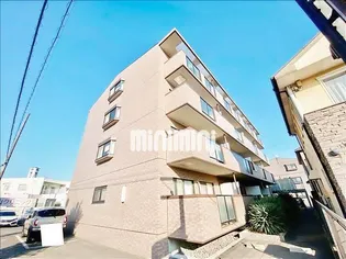 エクセラン寺本の画像