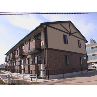 ウィルモアラパンの画像