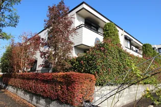 アンサンブル 進せいの画像