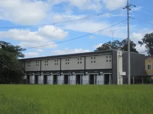 レオネクストT&Mの画像