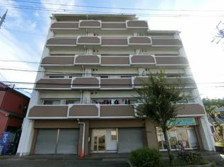 ヴェルドミール府中の画像