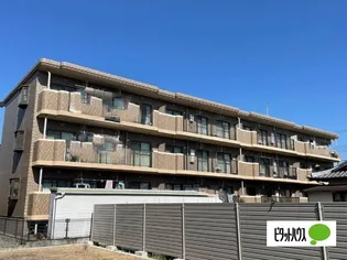 サテンコートの画像