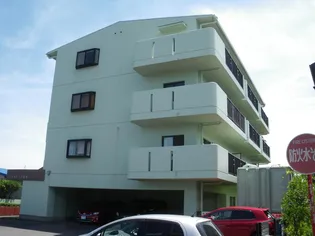 アルカディア野中【3階】の外観