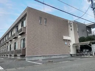 レオネクストチェリーブロッサムの画像