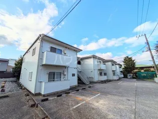 ゼルコーバの画像