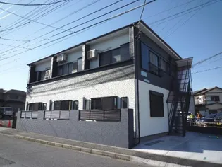 はっせるの画像