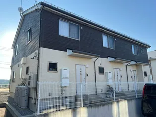 シュシュの画像