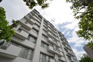 マンションロックハイツ【8階】の外観