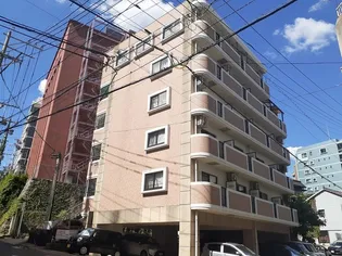 ブランドール大井手の画像