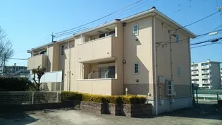 ベル アンジュの画像