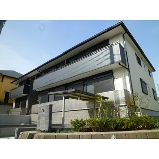 プランタン桜並木の画像